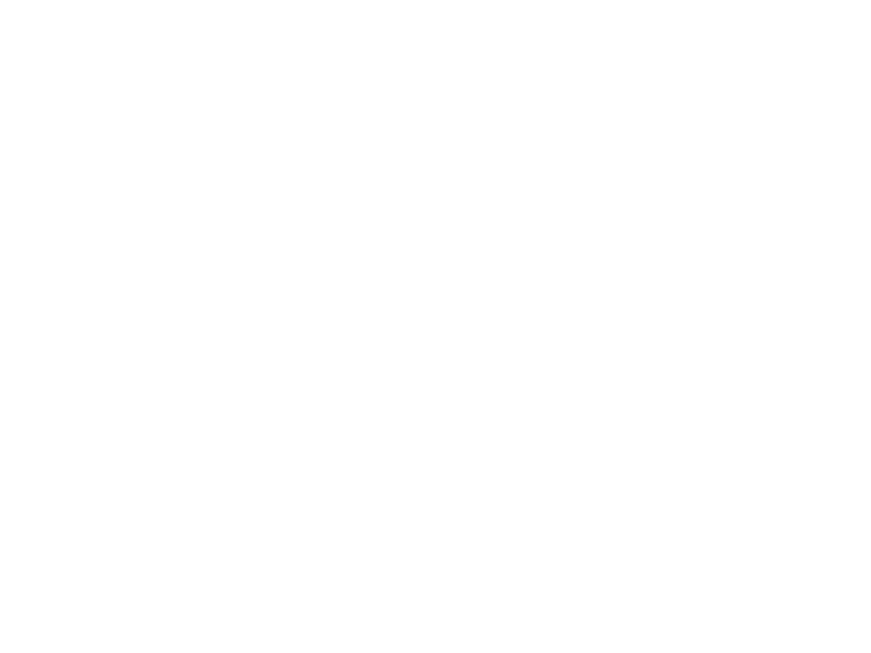 Palusak Computer Services